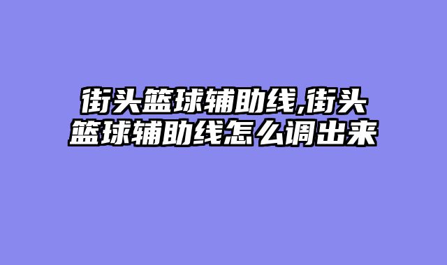 街头篮球辅助线,街头篮球辅助线怎么调出来