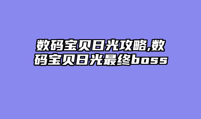 数码宝贝日光攻略,数码宝贝日光最终boss