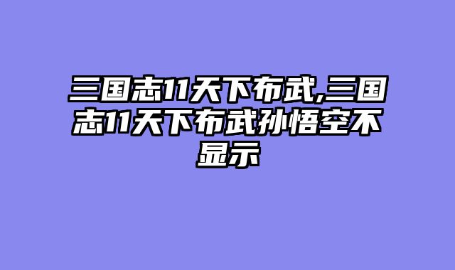 三国志11天下布武,三国志11天下布武孙悟空不显示