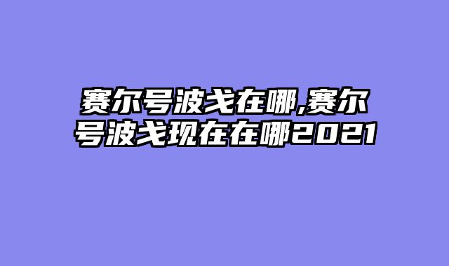 赛尔号波戈在哪,赛尔号波戈现在在哪2021