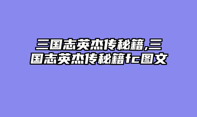 三国志英杰传秘籍,三国志英杰传秘籍fc图文