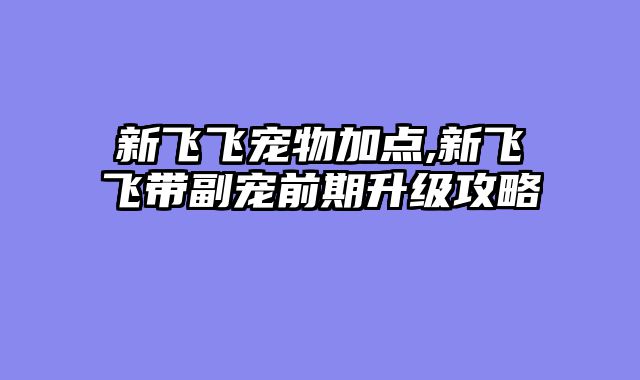 新飞飞宠物加点,新飞飞带副宠前期升级攻略