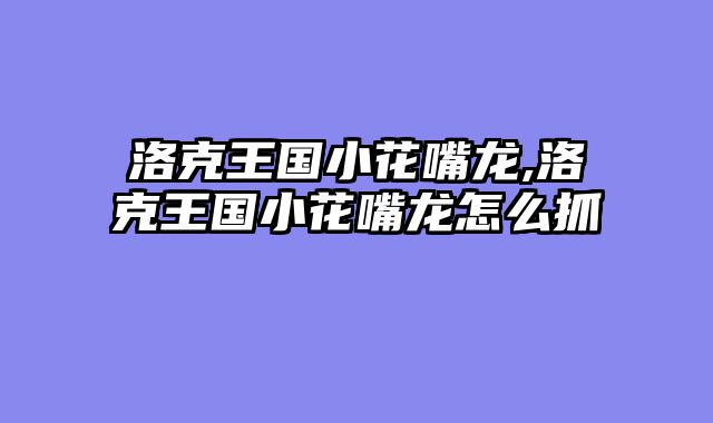 洛克王国小花嘴龙,洛克王国小花嘴龙怎么抓