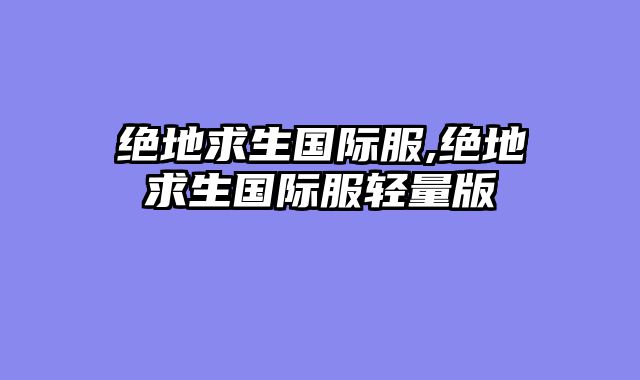 绝地求生国际服,绝地求生国际服轻量版