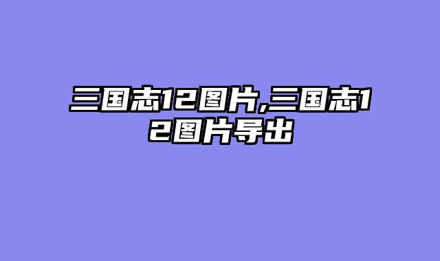 三国志12图片,三国志12图片导出