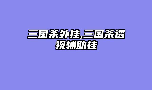 三国杀外挂,三国杀透视辅助挂