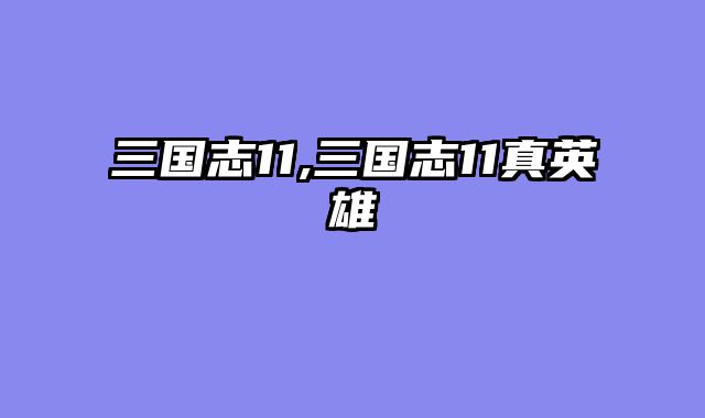 三国志11,三国志11真英雄