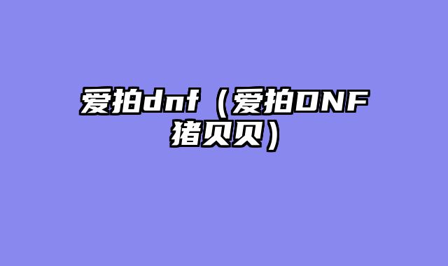 爱拍dnf（爱拍DNF猪贝贝）