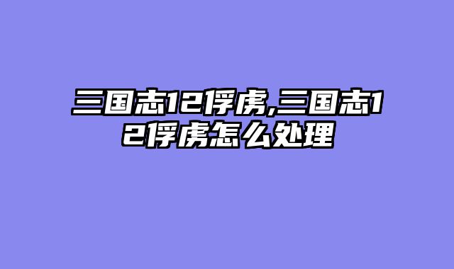 三国志12俘虏,三国志12俘虏怎么处理