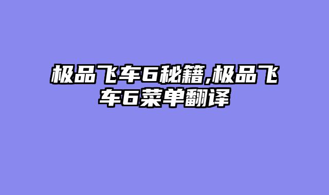 极品飞车6秘籍,极品飞车6菜单翻译