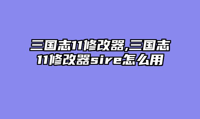 三国志11修改器,三国志11修改器sire怎么用