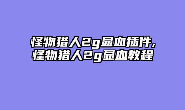 怪物猎人2g显血插件,怪物猎人2g显血教程