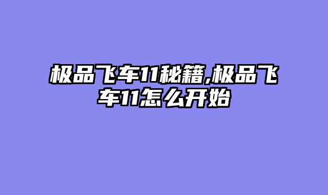 极品飞车11秘籍,极品飞车11怎么开始