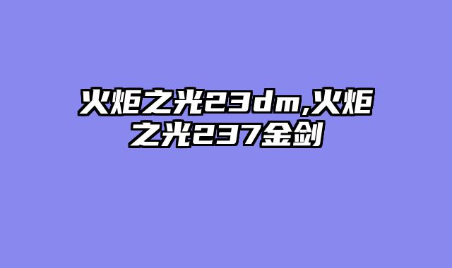 火炬之光23dm,火炬之光237金剑