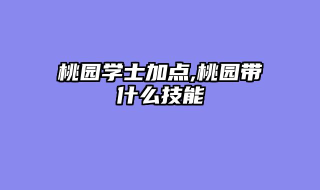 桃园学士加点,桃园带什么技能