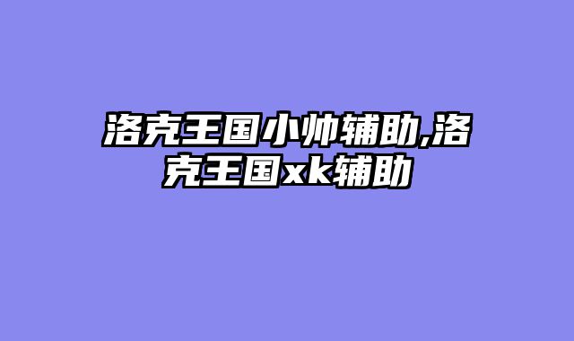 洛克王国小帅辅助,洛克王国xk辅助